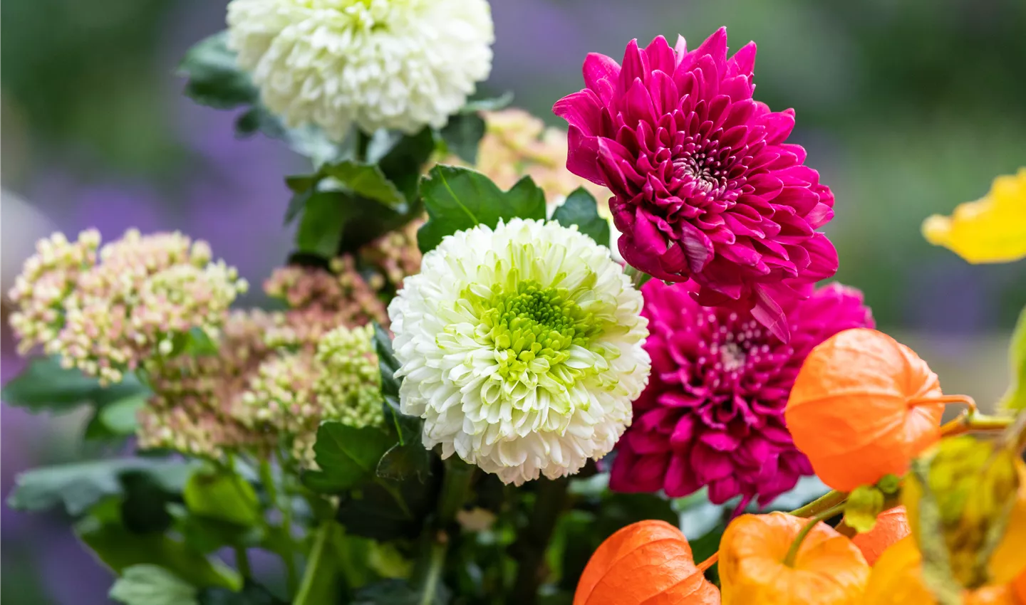 Herbstdeko- Schnittblumen